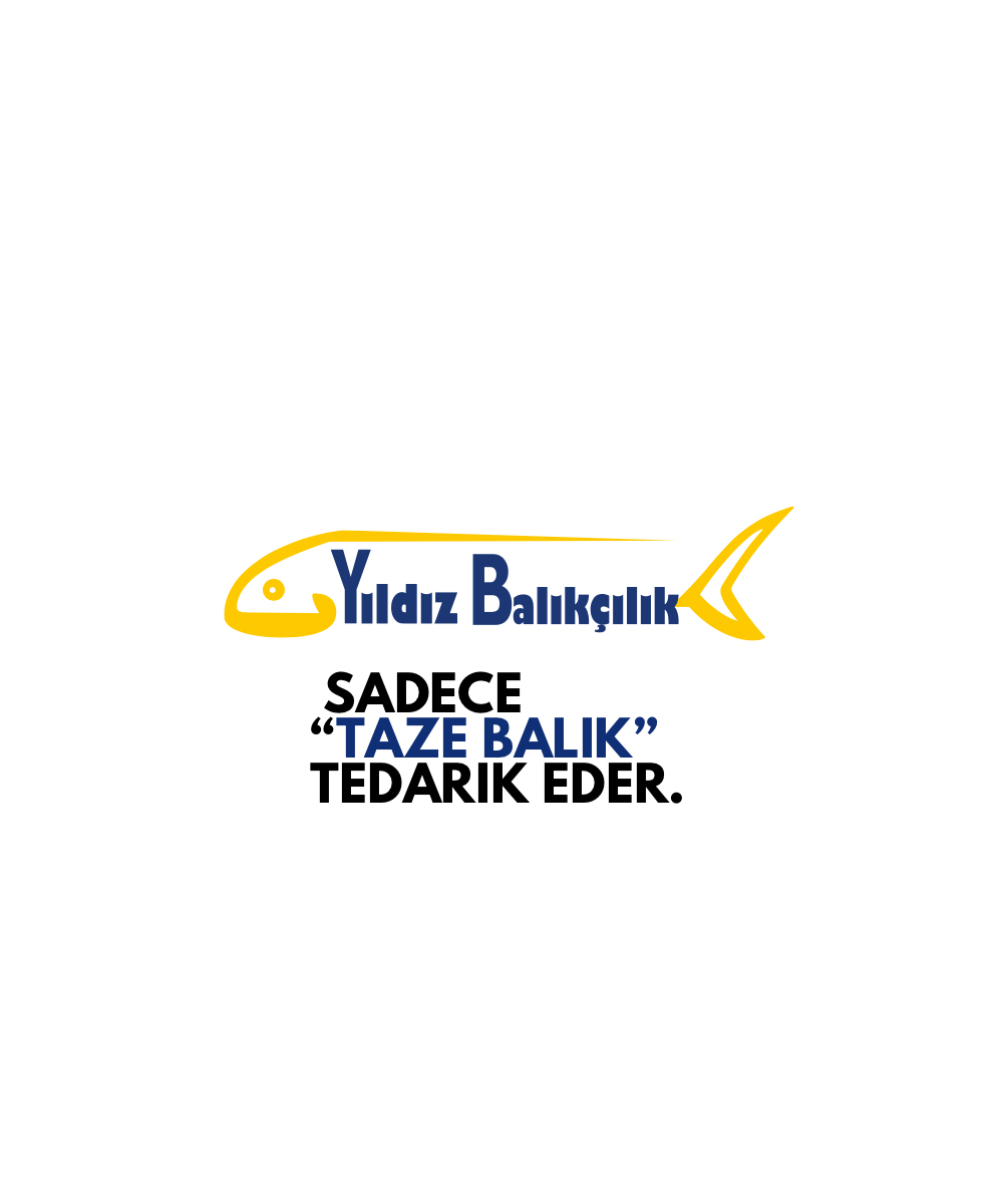 Yıldız Balıkçılık — sadece taze balık tedarik eder